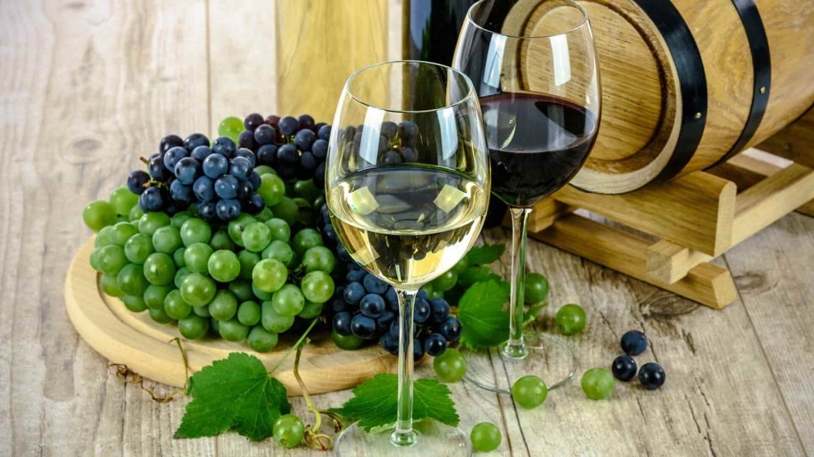Vins Vins