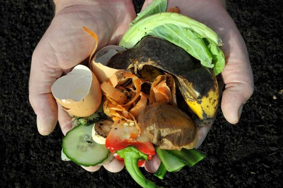 Déchets organiques pour le compostage en milieu urbain. Mains tenant des déchets alimentaires destinés au compostage en milieu urbain.